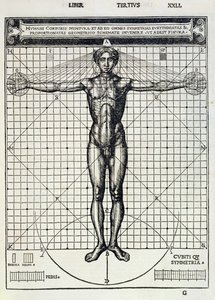 Proporciones ideales basadas en el cuerpo humano, de 